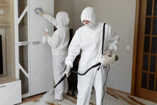 Best Attic Mold Removal  in East Berwick, PA
